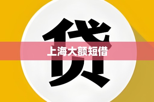 上海大额短借