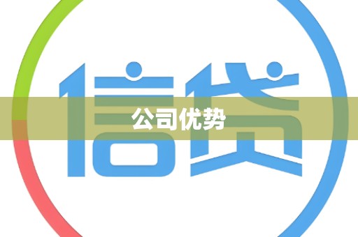 公司优势