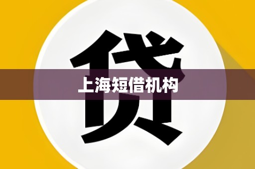 上海短借机构