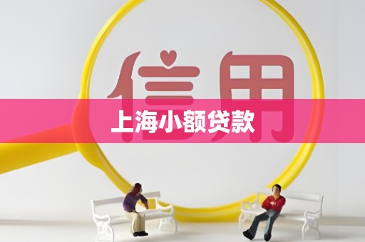 上海小额贷款